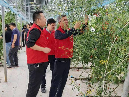 e83b9f852df40255ba7973e99ce53db.png 在线纸牌